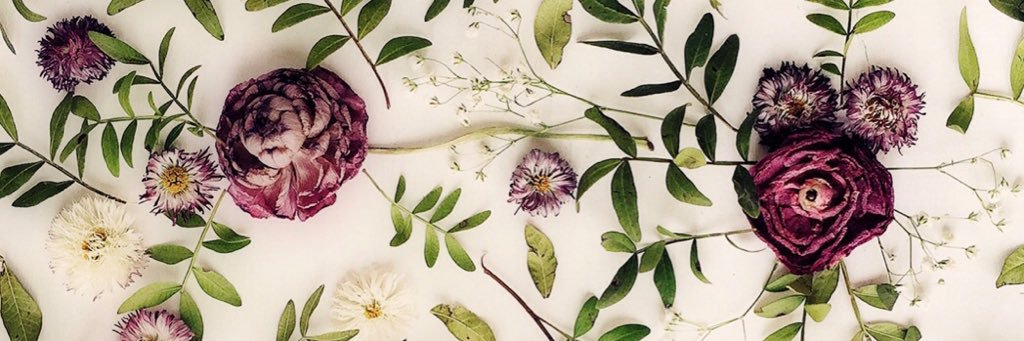 CarrahMooney's profile banner image