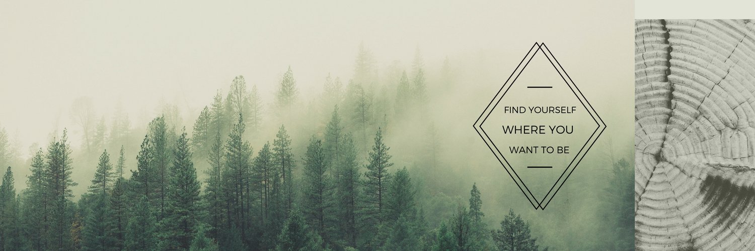 JudeTemple's profile banner image