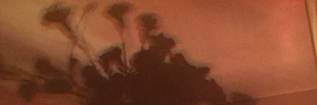 corrintheaa's profile banner image
