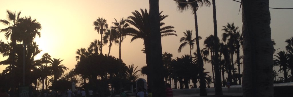 1D_Clelia's profile banner image