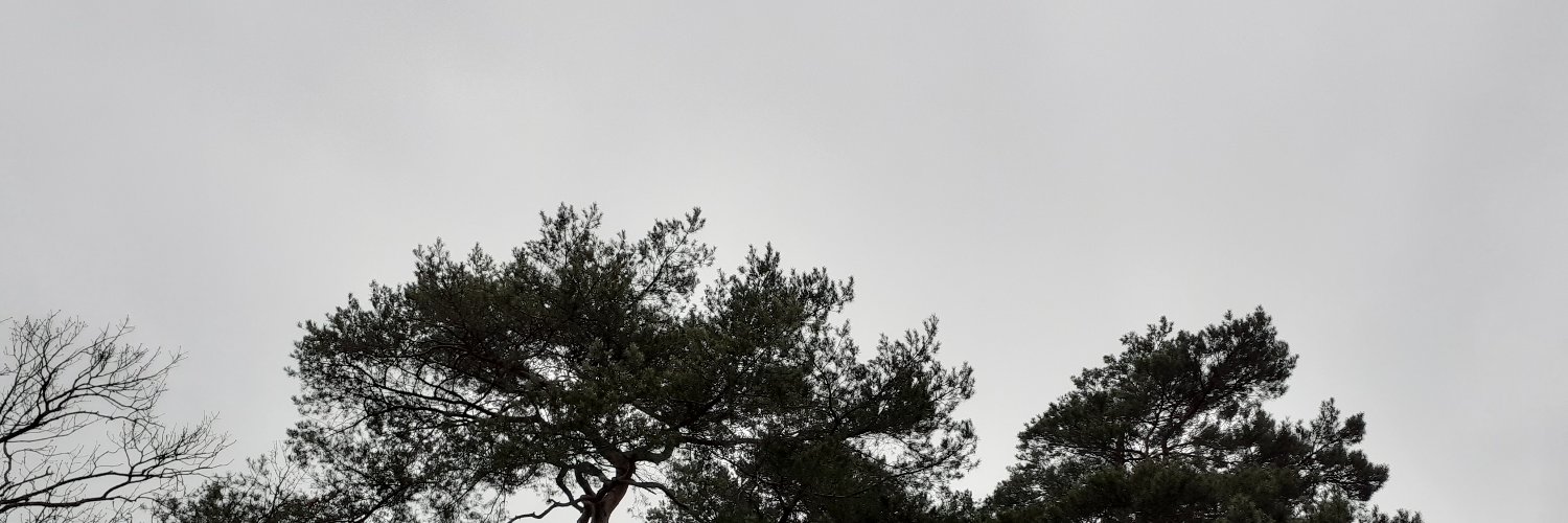 AttilaLfde's profile banner image