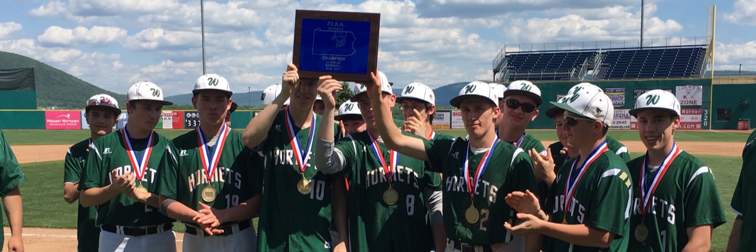 Wellsboro Baseball banner