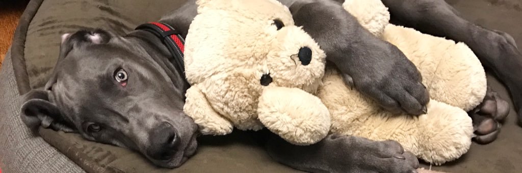 fexi555's profile banner image