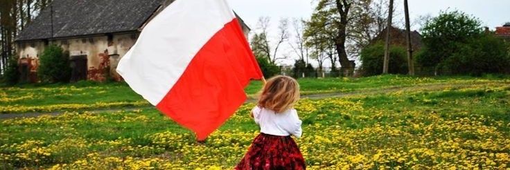 Arthur Morgan banner