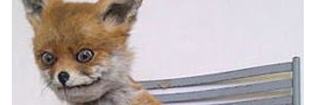 . banner