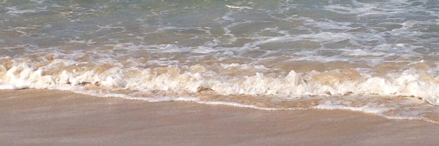 Krystal Chapman banner