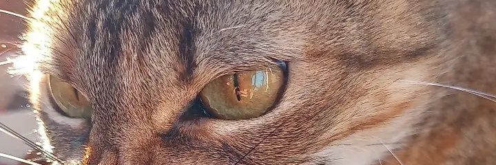 AnglatMartin's profile banner image