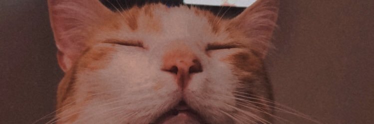 AnaLeivaO's profile banner image