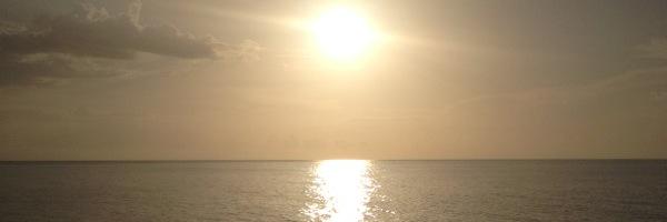 rlitchmore14's profile banner image