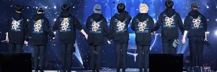 Lu. banner