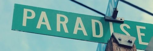 PARADISE banner