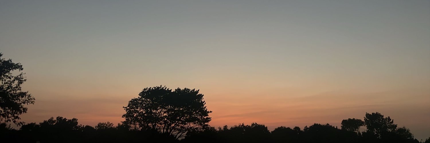 briceydabanda's profile banner image
