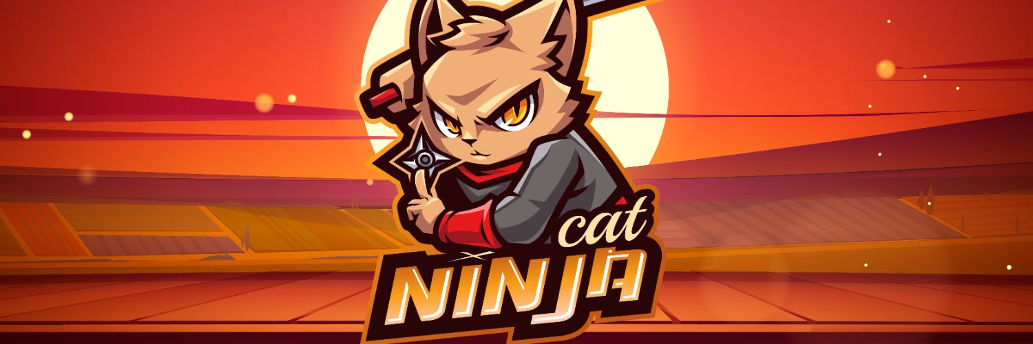 Ninja Cat banner