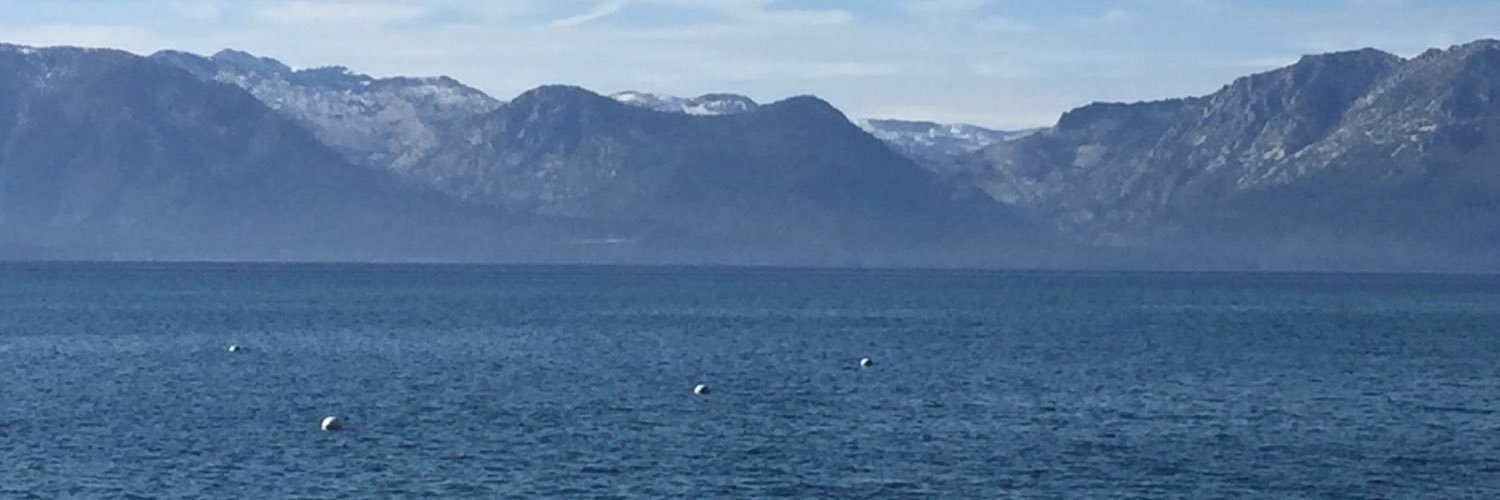 Donna Gavegan banner