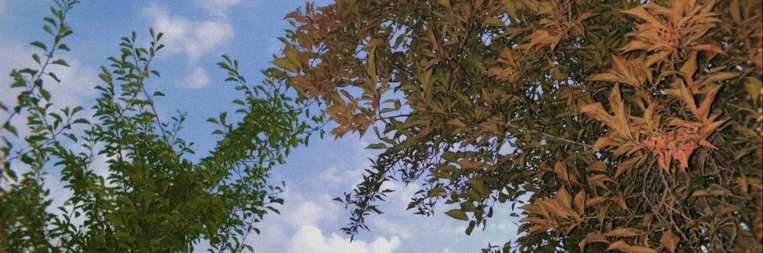 creatorlindsey's profile banner image