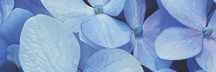 bPm_16's profile banner image