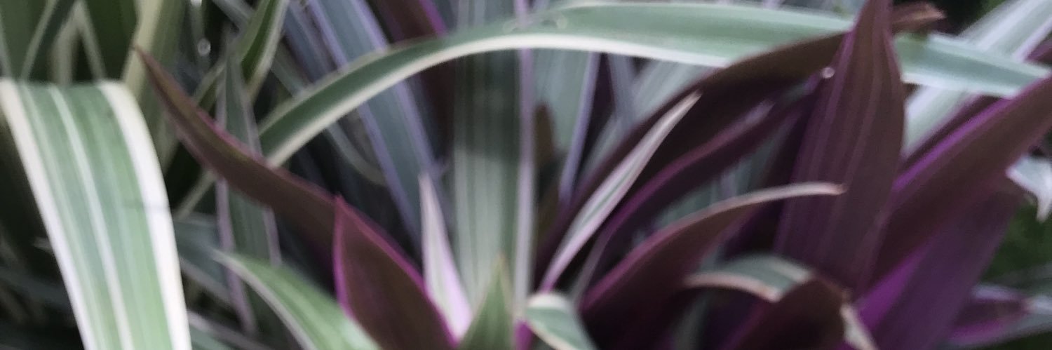 DefeatTheLow_'s profile banner image