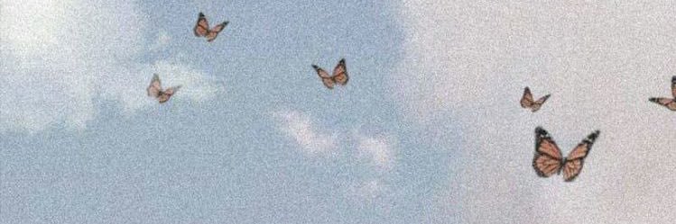 NRRPPP's profile banner image