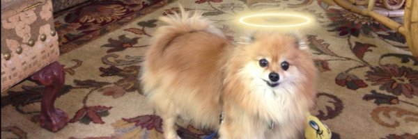 samsoncombs Profile Banner