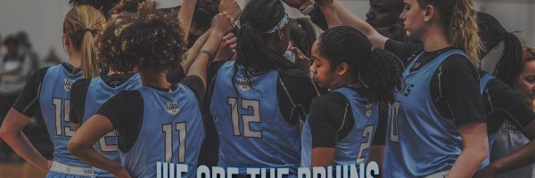 WPABruinsAAU Profile Banner