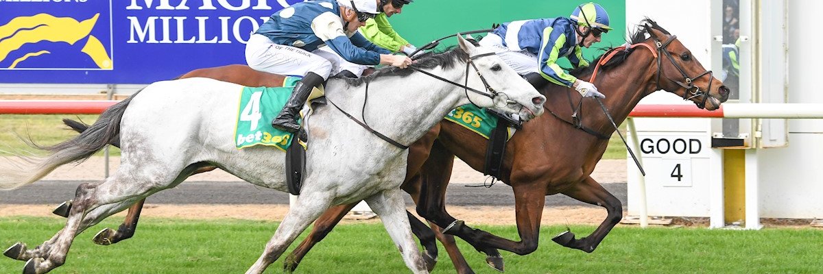 StephLynchy's profile banner image