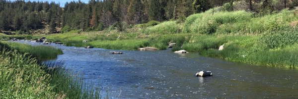 Movie2099 Profile Banner