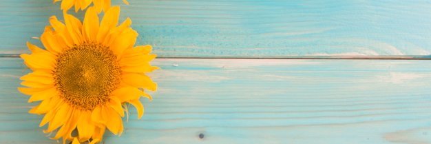 ItzelChatu's profile banner image