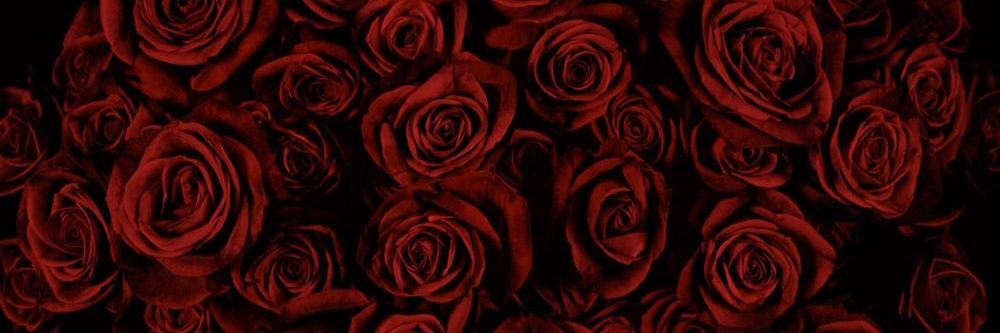 _mariamun's profile banner image