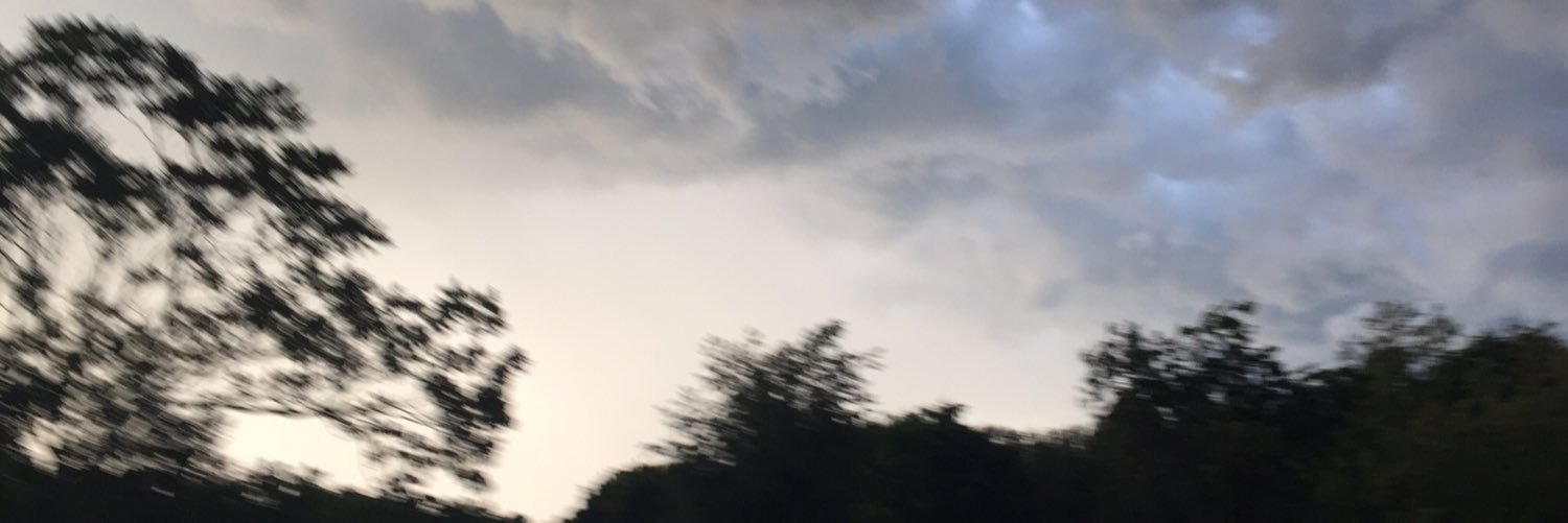 R banner