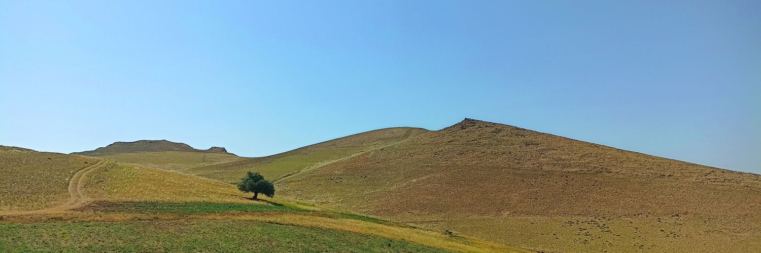 بریسئیس 🕊️ (🦒) banner
