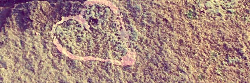 jilliansmo's profile banner image