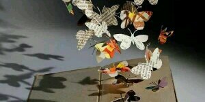 corral_vero's profile banner image