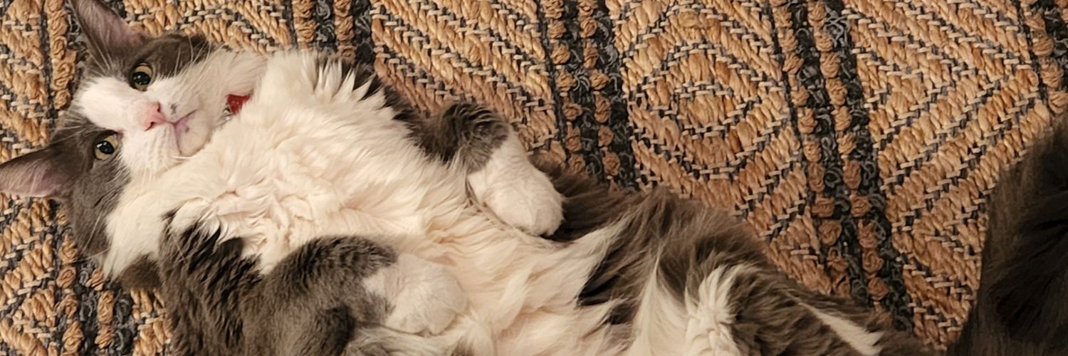 TrueDylanMax's profile banner image
