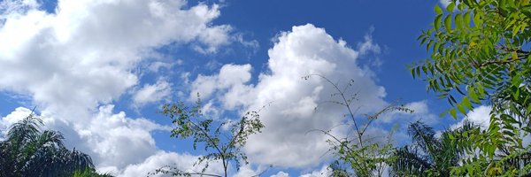 scorpisammy Profile Banner