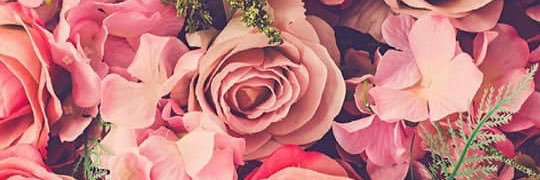 simplymericaa_'s profile banner image