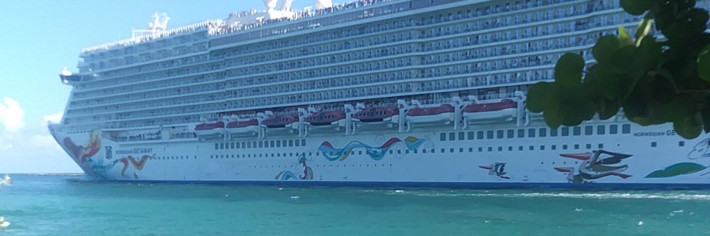 Joetta Ripley banner