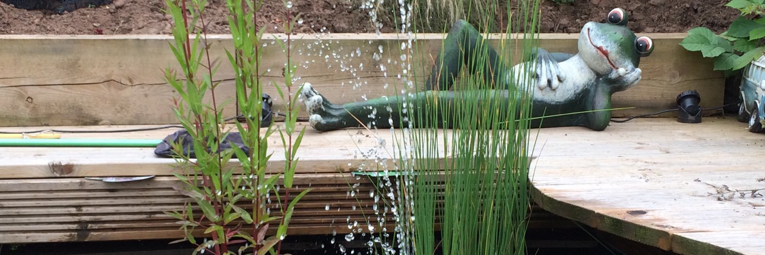 Burd_kcc's profile banner image