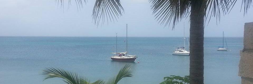 Dulcy15's profile banner image