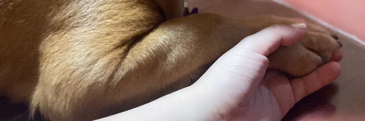allison14_'s profile banner image