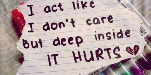 Vedina Runghen banner