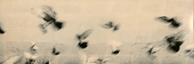 FallerLeehan's profile banner image