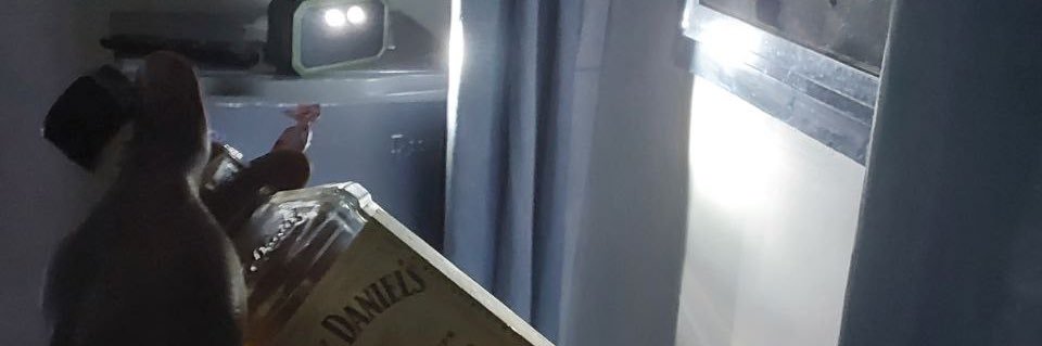 Monkey D. Kimbo banner