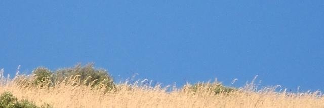 jdurandi's profile banner image
