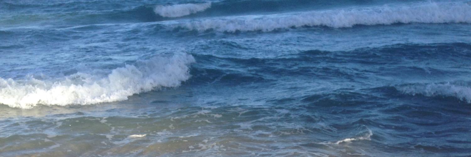 shandiggity333's profile banner image