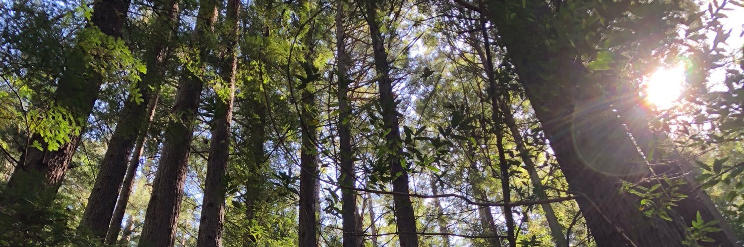 itslyle's profile banner image