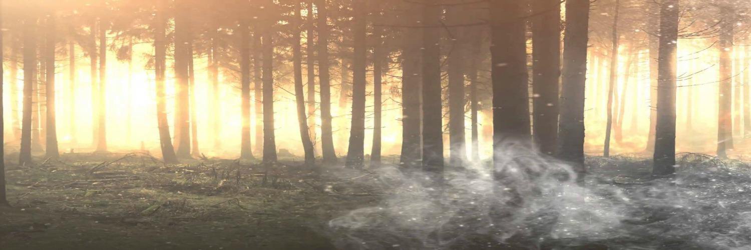 Jess_H33's profile banner image