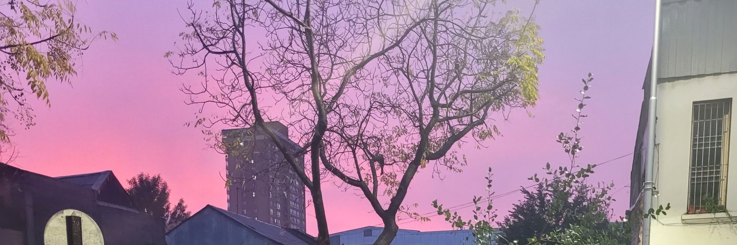 Mariethcj's profile banner image