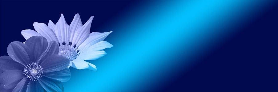 MoonStarGio's profile banner image