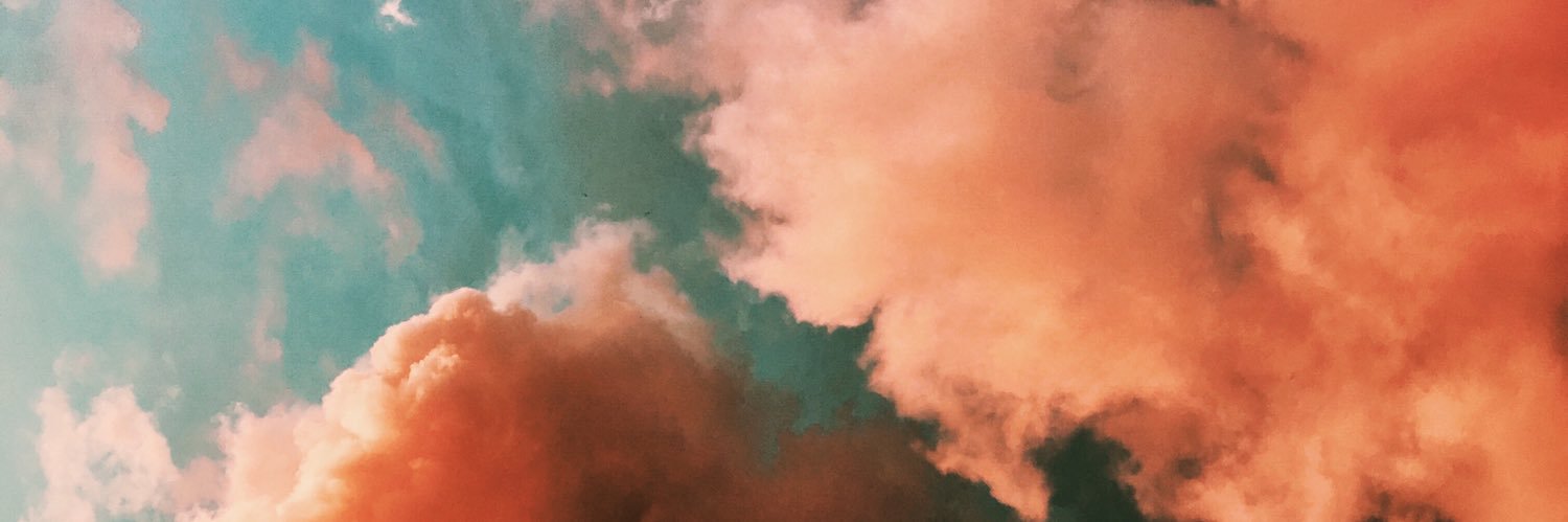 lorilesnansky's profile banner image