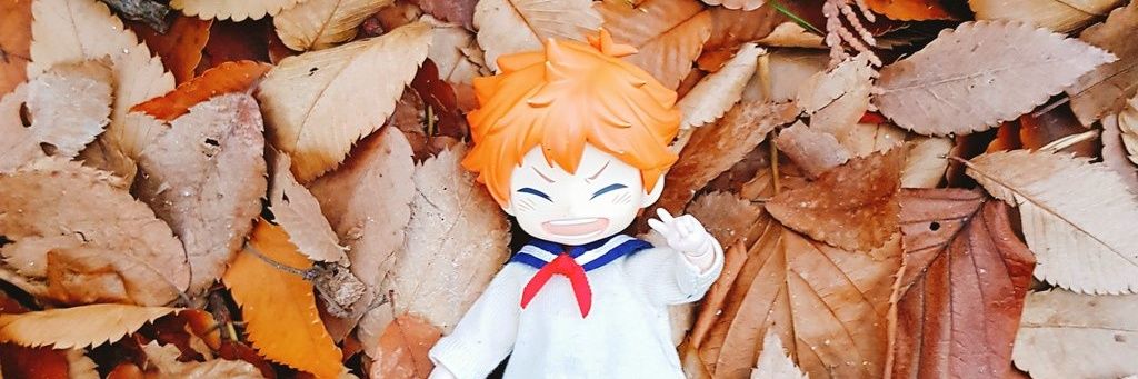 CCC_milk's profile banner image